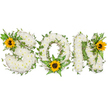 A tender, studio-lit floral tribute spells out the word SON in strong capital letters, crafted as a quiet memorial piece. Each letter is densely built from hundreds of small, snow-white chrysanthemums that create a soft, cloud-like surface with a subtle, powdery scent. Dark green ivy tendrils weave naturally through all three letters, their glossy leaves curling around the chrysanthemums to give the composition a living, evergreen rhythm and gentle movement. Alongside the ivy, delicate fern fronds and sharper-pointed leaves nestle into the white base, adding layered texture and a cooling, verdant contrast. Three bright sunflowers break the pure palette with warm, golden petals and deep brown centers: one tucked into the upper left curve of the S, another cradled at the lower center of the O amid the fern fronds, and a third positioned on the upper right of the N. The sunflowers introduce a hopeful, sunlit note-comforting and affectionate against the serene white. Photographed against a clean white background with soft, diffuse lighting, every petal and leaf is rendered with clear detail and gentle shadowing, emphasising the artisanal shaping of each letter. This arrangement reads as both a personal commemoration and a small celebration of life, suitable for a funeral or remembrance table. As a local West Ham floral design, it resonates with neighbourhood quiet dignity-something you might send from near Romford Road or the green spaces of Queen Elizabeth Olympic Park to honour a beloved son with dignity, warmth, and floral craftsmanship.